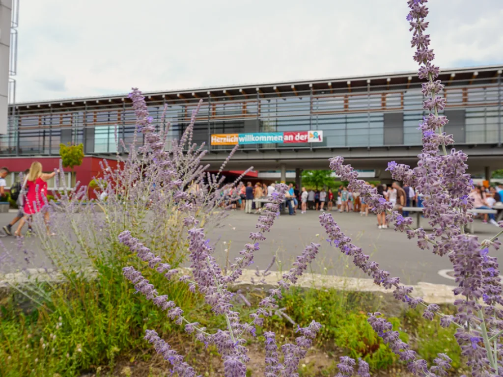 Lavendel im Vordergrund, dahinter das Schulgebäude.